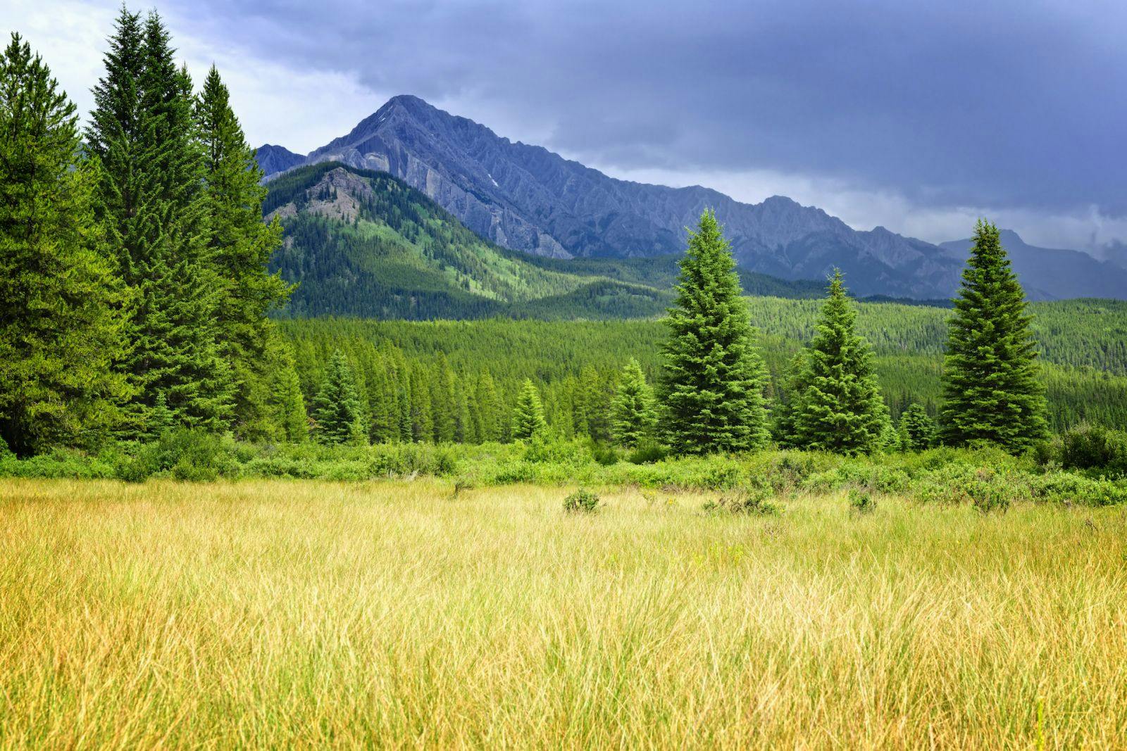 Picture of Sudbury